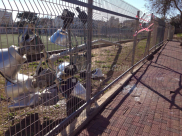   بالصور: العاصفة تُلحق أضراراً جسيمة بالملعب البلدي بمدينة يافا 